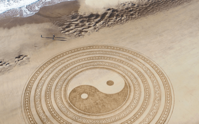 Yin – Yang