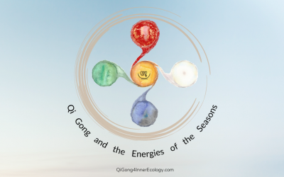 Qi Gong & The Seasons (series)