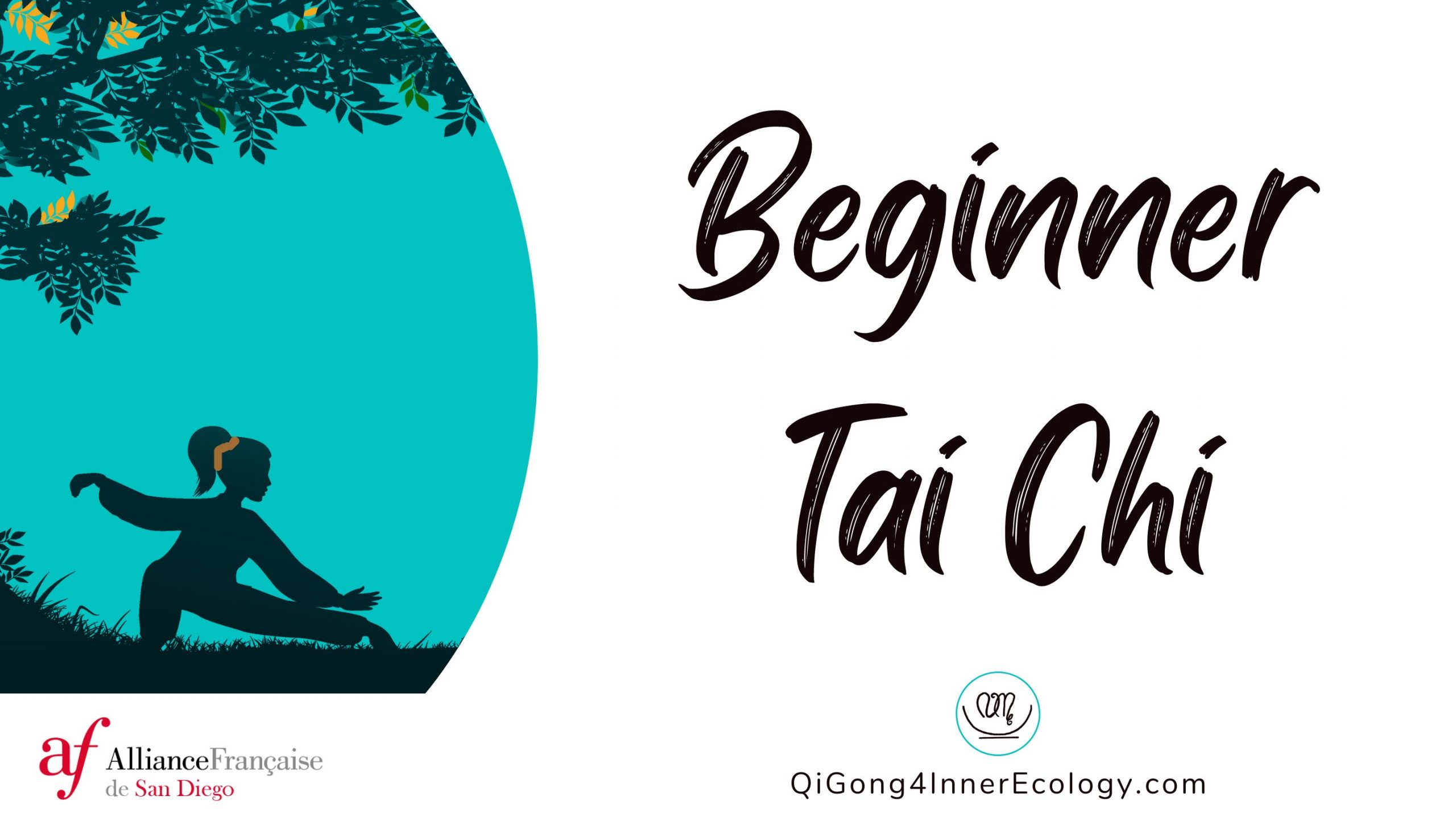 Beginner Tai Chi class