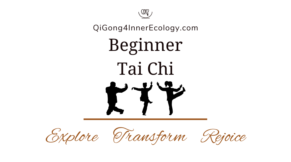 Beginner Tai Chi class