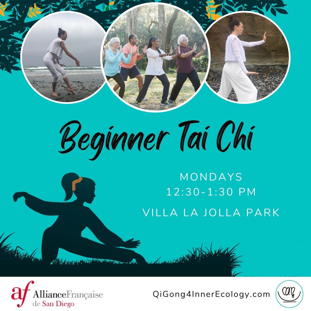 Beginner Tai Chi class
