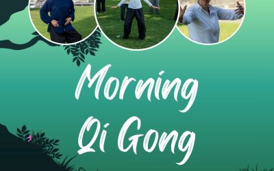 Morning Qi Gong at the Park