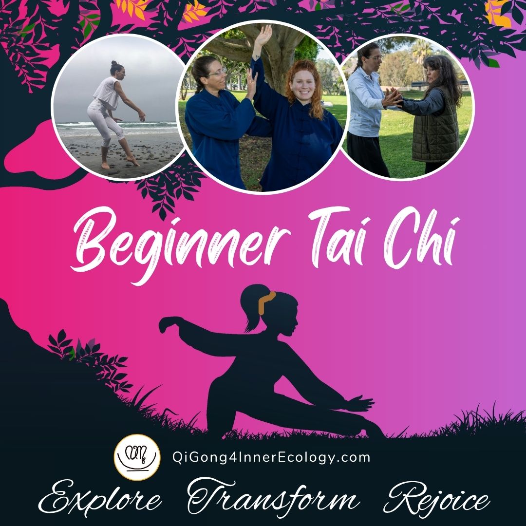 Beginner Tai Chi class