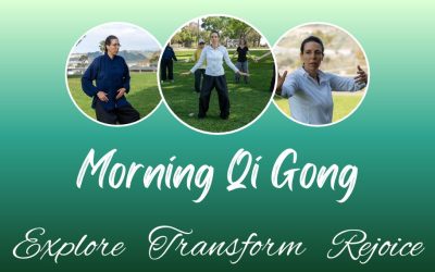 Morning Qi Gong at the Park