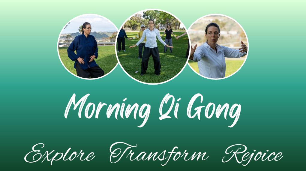 Morning Qi Gong at the Park